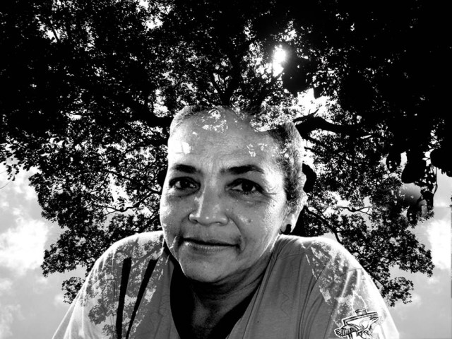 VivaMariaFlorestaViva